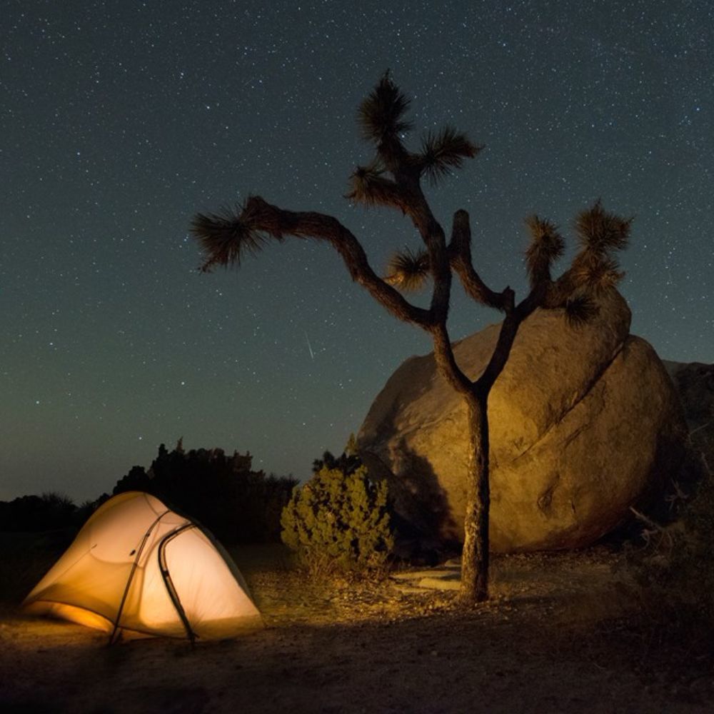 Meet your Posher, Kristin